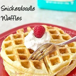 stack of snickerdoodle waffles